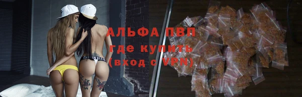 прущий лед Михайлов