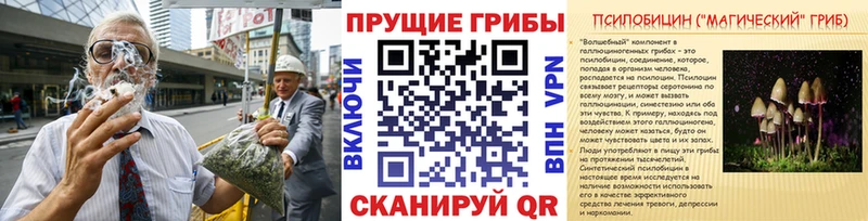 наркота  Владивосток  Галлюциногенные грибы мухоморы 